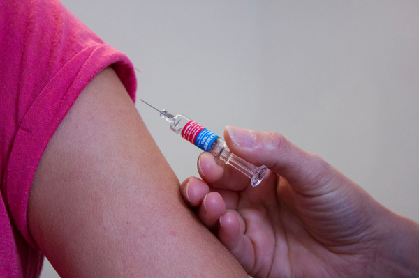 Pouze třetina Středočechů je očkována proti klíšťové encefalitidě. Česká vakcinologická společnost doporučuje očkování neodkládat